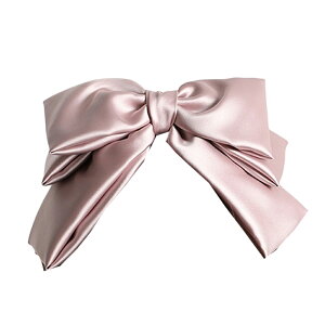 rbO{  J`[V wAANZ  Pl ̎q wAANZT[ wAAW 炩 { l Gn RXv   w p[eB[ ig 9