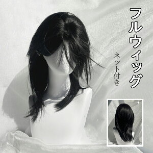 ウィッグ レディース メンズ センター分け かつら フルウィッグ 黒髪 カツラ イケメン ハンサム 自然 小顔 耐熱 原宿 人気 ファッション コスプレ ハロウィン おしゃれ 男女兼用 日常 ネット
