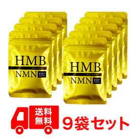 【正規品】9袋セット ボディマスター BODYMASTER HMB NMN 国内生産 送料無料 サプリメント ヒロミ 30粒