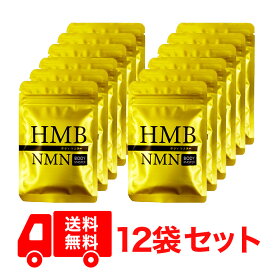 【正規品】12袋セット ボディマスター BODYMASTER HMB NMN 国内生産 送料無料 サプリメント ヒロミ 30粒