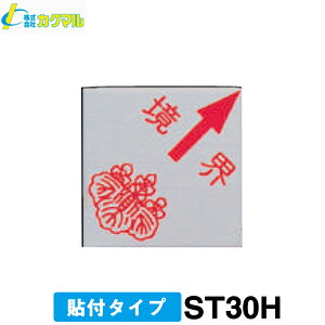 yJN}zynƉmp XeXv[g [ST30H] (10) ΖE30pE\t^Cv yʗpizyEv[gzyEpzEW