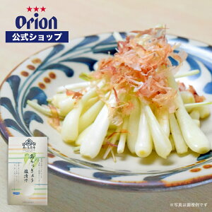 傤Ђ 60g yY IIr[ ܂ yY O ꗿ  OW