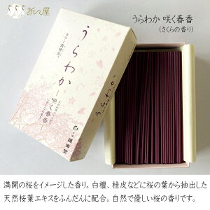   킩 100g / 炭t (̍)/̍/̍/~̍   ̏Ȃ VRtGLXz ̗tGLXz Mtg i p Y 