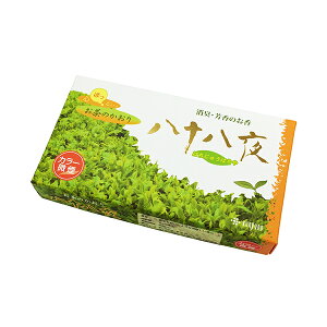   ̍ \ CZX XeBbN Β Green Tea ^Cv ̏Ȃ L/F 220{ Mtg i Y O