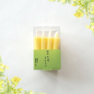 a낤@؂̉Ԃ낤  5.5cm  16{ AR ؎ Lh  V낤X c؂sv 1^f炬  ~ ފ