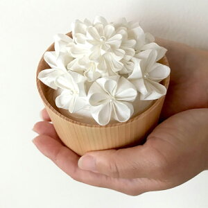  LO N N j Mtg v[g a `H|i CeA kaminoka m ֑} Ԃ ܂݂񂴂ʖ