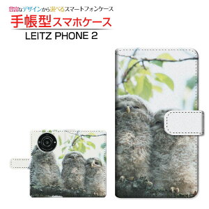 LEITZ PHONE 2CctH c[SoftBank蒠^ JΉ X}zJo[ _CA[^ ubN^tNEeq