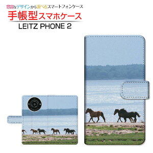 LEITZ PHONE 2CctH c[SoftBank蒠^ JΉ X}zJo[ _CA[^ ubN^nQ