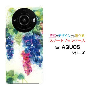 AQUOS R8 pro [SH-51D]ANIX A[GCg vdocomo SoftBankIWi fUCX}z Jo[ P[X n[h TPU \tg P[XGrapegirden