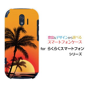炭炭X}[gtH [F-42A]NNX}[gtHdocomoIWi fUCX}z Jo[ P[X n[h TPU \tg P[XPalm&Sunset