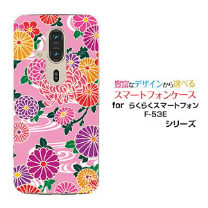 炭炭X}[gtH F-53E 炭炭X}z[F-53E]docomoIWi fUCX}z Jo[ P[X n[h TPU \tg P[Xa type2