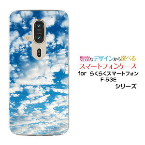 炭炭X}[gtH F-53E 炭炭X}z[F-53E]docomoIWi fUCX}z Jo[ P[X n[h TPU \tg P[Xsky type1