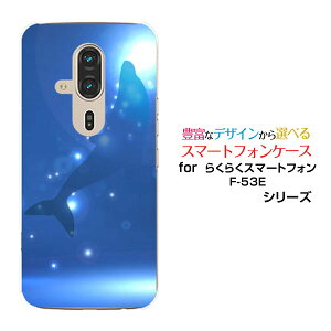 炭炭X}[gtH F-53E 炭炭X}z[F-53E]docomoIWi fUCX}z Jo[ P[X n[h TPU \tg P[XCJVGbg