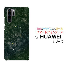 HUAWEI P30 Pro [HW-02L]ファーウェイ ピーサーティ プロdocomoオリジナル デザインスマホ カバー ケース ハード TPU ソフト ケース北斗七星グリーン