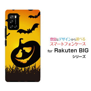 Rakuten BIG s [3917JR]Ne rbO GXyVoCIWi fUCX}z Jo[ P[X n[h TPU \tg P[XnEBڂႱ