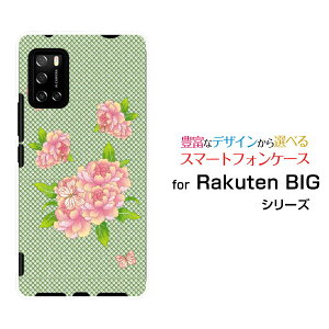 Rakuten BIG s [3917JR]Ne rbO GXyVoCIWi fUCX}z Jo[ P[X n[h TPU \tg P[XaʕԂƒ