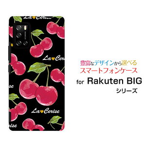 Rakuten BIG s [3917JR]Ne rbO GXyVoCIWi fUCX}z Jo[ P[X n[h TPU \tg P[XڕiubNj