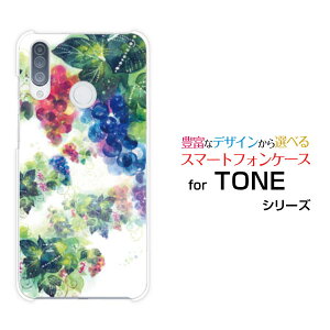 TONE e20g[ e20TONEoCIWi fUCX}z Jo[ P[X n[h TPU \tg P[X̉