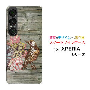 XPERIA 1 VII GNXyA  }[NZu[SO-51F]docomo au SoftBankIWi fUCX}z Jo[ P[X n[h TPU \tg P[Xؖڒo[h