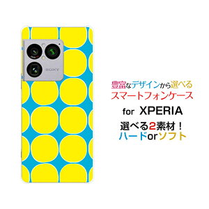 XPERIA 1 VIII �G�N�X�y���A ���� �}�[�N�G�C�g[SO-51G SOG17 A601SO]docomo au SoftBank�I���W�i�� �f�U�C���X�}�z �J�o�[ �P�[�X �n�[�h TPU �\�t�g �P�[�X�h�b�g(�C�G���[)