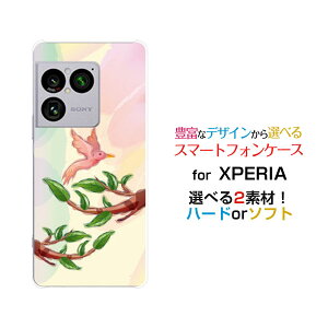 XPERIA 1 VIII �G�N�X�y���A ���� �}�[�N�G�C�g[SO-51G SOG17 A601SO]docomo au SoftBank�I���W�i�� �f�U�C���X�}�z �J�o�[ �P�[�X �n�[�h TPU �\�t�g �P�[�X�p�X�e���o�[�h