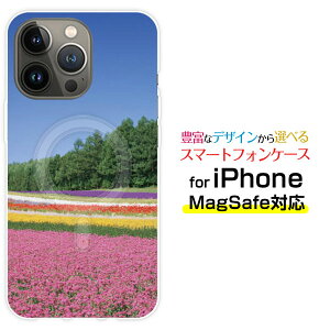 MagSafeΉ X}zP[XiPhone 14 14Plus 14Pro 14ProMax 13 13Pro 13mini}OZ[tΉ IWifUC P[X Jo[Ԕ