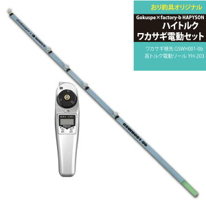 nCgNȃJTMdZbg Gokuspe×factory-b nCgNJTMdZbg(wakasagi-fb-hp-set)bGokuspe×factory-bR{ [׏d JTM GSWH001-0bgNd[ YH-203 JTM 