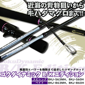 GokuDynamic B/K Edition (SN_Ci~bNB/KGfBV)(goku-bk)bފ ނ ދ \gA[ A[ SN_Ci~bN Jp` Ln_ C\}O q}T u oc gWM