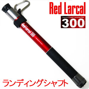 fBO Vtg (J[{) Red Larcal (bh[J) 300 (190141)bʂ̕ |[ ^ A~   oX V[oX ubNoX CJ GMO A[ tBbVO IJbp VA g