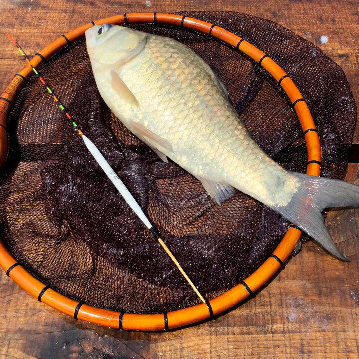 楽天市場 Offクーポン有 ヘラ浮き 嵯峨 さが ムクロングトップ カヤボディー グラスムクトップ カーボン足 1 6番 6本セット set ヘラブナ用品 ヘラウキ ヘラ浮き へらぶな ヘラブナ 浮き うき ウキ おり釣具 楽天市場店