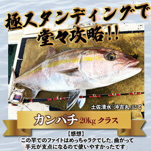 X^fBObh GrandEvo STANDING 160-200(100-300)(goku-960416) 啨 X^fBO X^C œn荇߂̃As[XfbD  bh As[X NG Ln_ }O