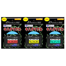 【4Cpost】Amizesu 新・キハダマグロ仕掛け 10m 針AC2 16号 ハリス24号(ami-911497)｜コマセキハダ キハダマグロ 相模湾仕掛 マグロ仕掛 コマセ仕掛 マグロ船仕掛