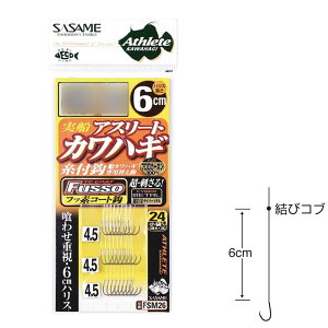 y20CpostzTT FSM26 DAX[gJnM24{b 6cm (TCtbfR[g)(sasame-fsm26)