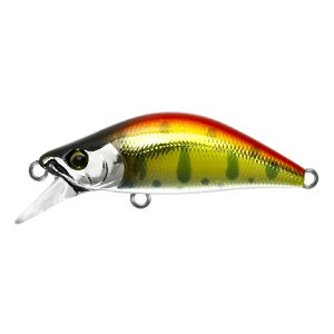 oXfC ̂̂ 50S Mo-001 AJL(bassday-736015)[M 1/14]| lCeBugEg kނ kA[ gEgA[ Ci } A}S