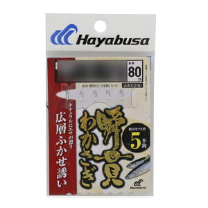 nuT C260 uт킩 HcLcl LwtJZ5{ j1 nX0.2(haya-185536)[M 1/30]b킩 JTM  d| d| j n ͂ a R h[ r O K ⓴ 