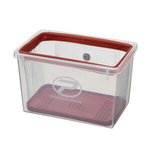 PROX(vbNX) UIJTM؂萅(n[h) _bh(px-223978)b킩 JTM R h- r O K ⓴   k  r W CuEF ނ ދ  pi