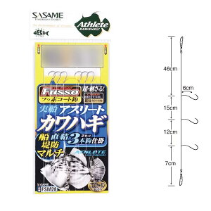y20CpostzTT FSM28 DAX[gJnMDh}` (TCtbfR[g) j5.0(sasame-097498)|JnMd| DJnM h JnMd|