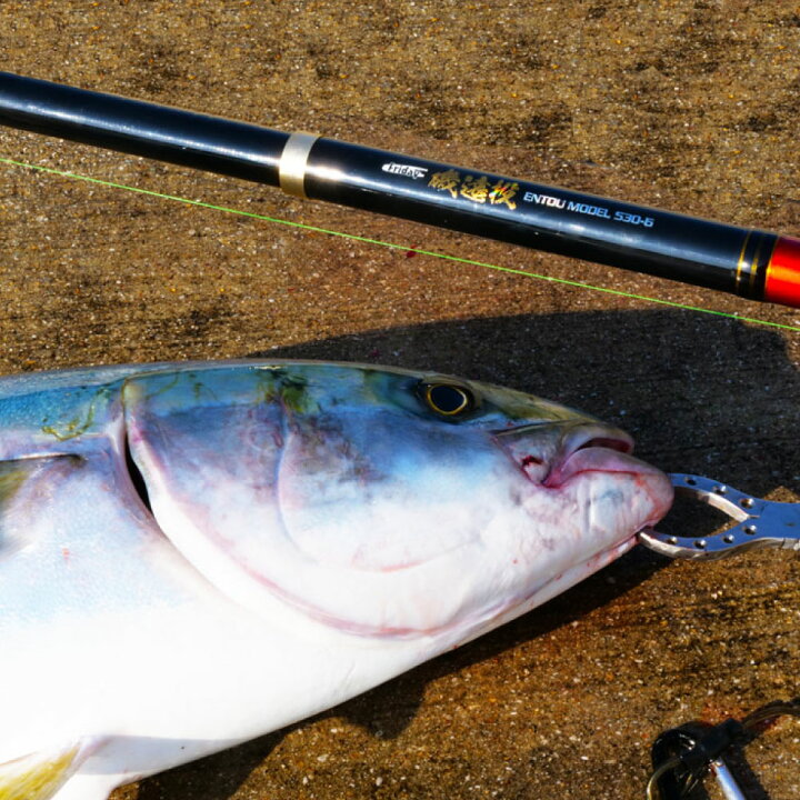楽天市場】おり釣具 カゴ釣り ぶっこみ釣り フライデー磯遠投 4-530(8 