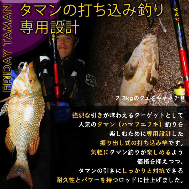 楽天市場】打ち込み専用竿 Friday タマン 500-10(ori-781121)｜タマン 