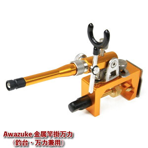 AH[ Ɗ|[ޑ ͌p](awa-940407)bwuipi w ւ  Daiwa t J[v CARP O[uCh