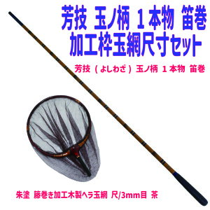 FZ ʃm 1{ JHgʖԎڐZbg(heratamaamiset12)bFZ (悵킴) ʃm 1{ J& h يHؐwʖ /3mm  bwui ւԂȒނ Ǘr w _ ʖ 