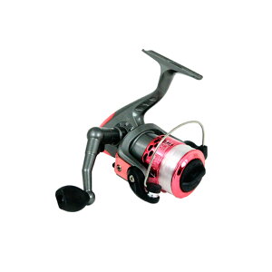 solfiesta TIFFIN LG 800SS bh(solf-403284)bXsjO[ t A[ a GT TrL 傢 t@~[tBbVO ނ ދ   pi  C D g~  r 