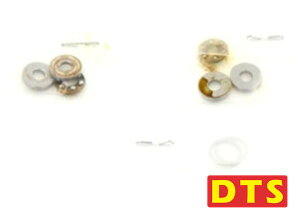 yCpostzDTS 450 xAO 3*8*3.5 (DTS004000) ORI RC WR wRv^[