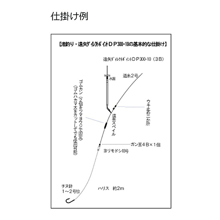 楽天市場】遠矢ウキ 遠矢ダイレクトポイントDP 300-10 残浮力3B(toya 