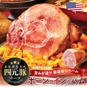 yAJYztn {[Cn 4kgbς݁bl؃nbW[V[In̉bnMtgbnbӍՁbTNXMrObNX}X zf[bΕ nb