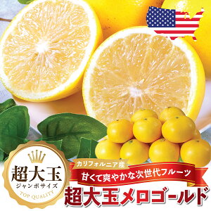 yJtHjAYzS[h LL ʃTCY  W[V[ŊÂ 傫 O[vt[cn k t[c Mtg Ε p Ԍ Jumbo Melogold California Citrus LL size