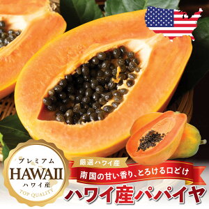 �y�n���C�Y�z���n�p�p�C���b�� �썑�t���[�c �ґ�ȊÂ� �������� �W���[�V�[�ŊÂ� �傫�� �t���[�c �M�t�g ���Ε� �����p ���Ԍ��� HAWAII PAPAYA