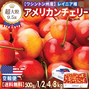 �y���� �\��z���嗱 ���C�j�A�`�F���[ 9.5R �N�₩�ȉʓ��Ə�i�ȊÂ����l�C! �A�����J���`�F���[ 500g 1kg 2kg 4kg 8kg ���V���g���B�Y ���� �t���[�c �M�t�g �V�N ���[�j�A�`�F���[������ �ʕ� 