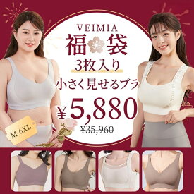 ★VEIMIA福袋2026★【小さく見せるブラ・シームレス】3点入り【M,L,XL,2XL,3XL,4XL,5XL,6XL】数量限定