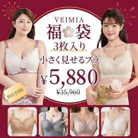 ★VEIMIA福袋2026★【小さく見せるブラ】3点入り【B,C,D,E,F,G,H,I,Jカップ】数量限定